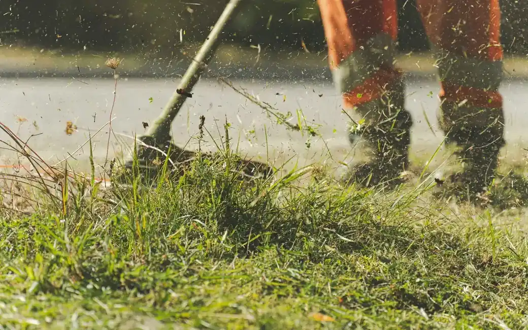 Tuinonderhoud — voor — Seizoensonderhoud