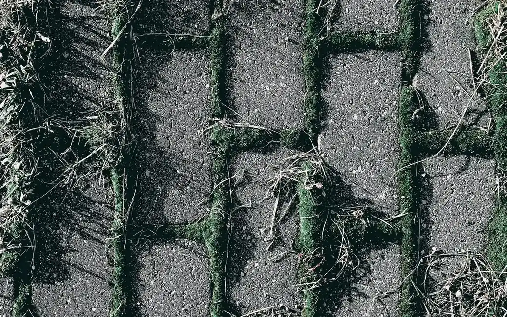 Terras- & opritreiniging — voor — Terrastegels