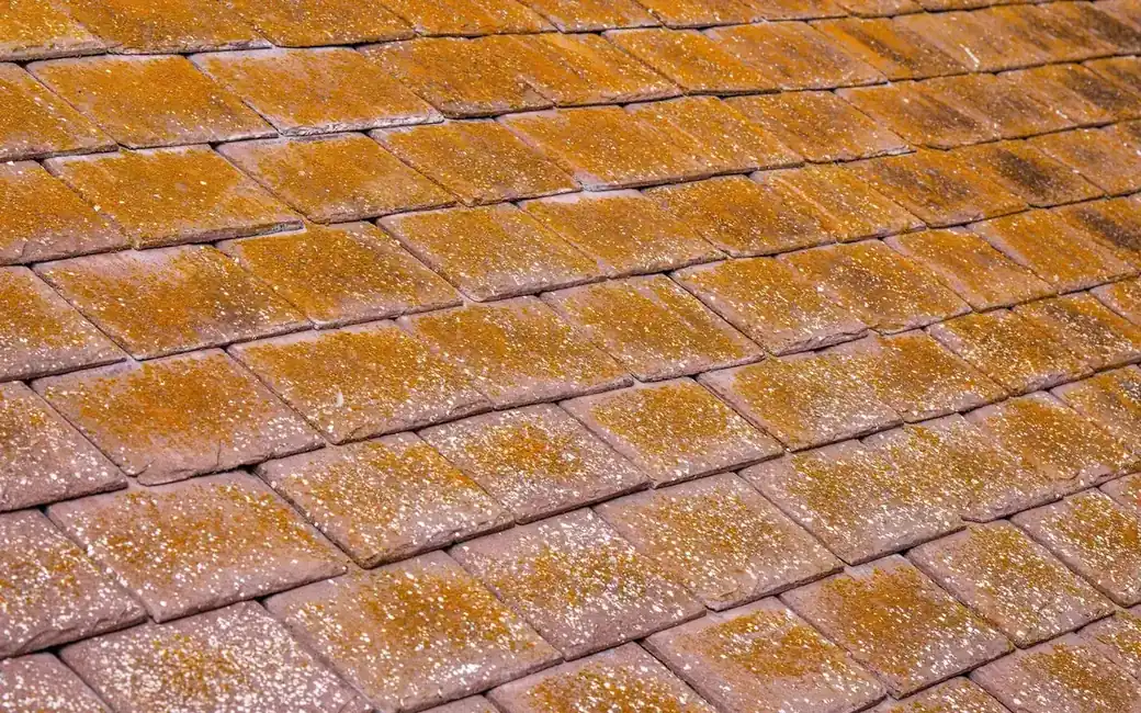 Dakreiniging — voor — Zonnepanelen
